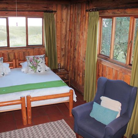 Greenfire Drakensberg Lodge Bonjaneni Pokoj fotografie