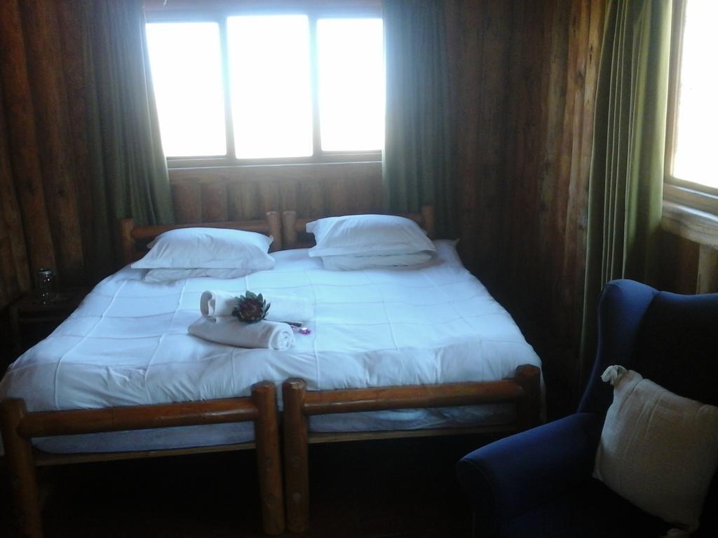 Greenfire Drakensberg Lodge Bonjaneni Pokoj fotografie