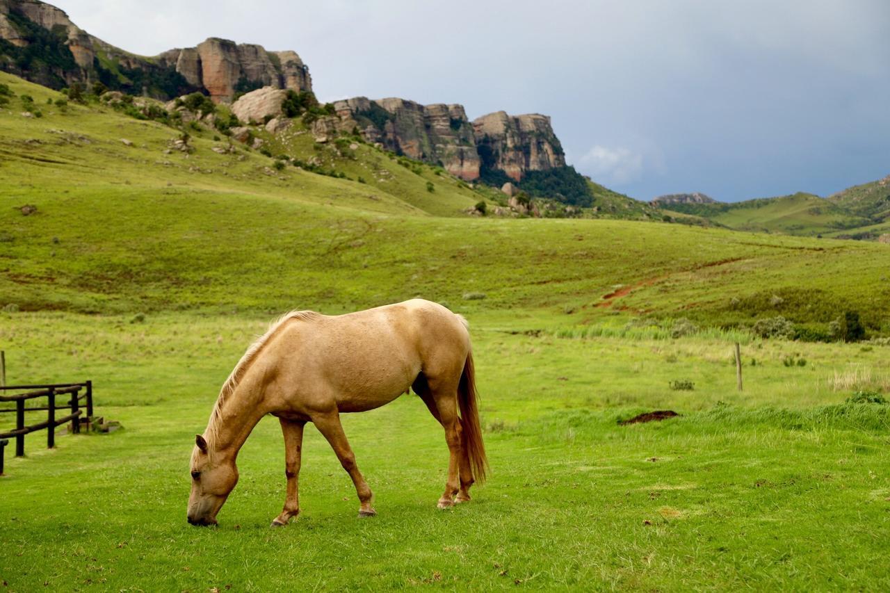 Greenfire Drakensberg Lodge Bonjaneni Exteriér fotografie
