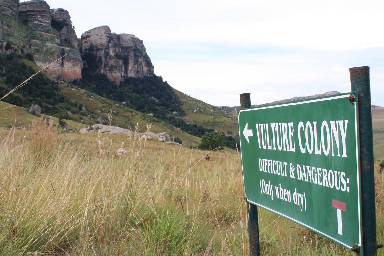 Greenfire Drakensberg Lodge Bonjaneni Exteriér fotografie